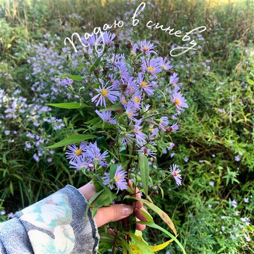 Эдуард Хиль - Вода, вода (⅛⅞ bootleg) 