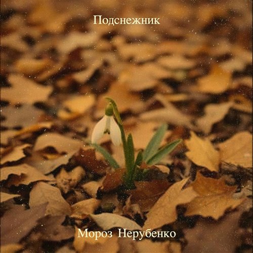 SERPO - На рубежах пацаны (музыка serpo) 