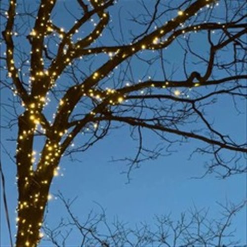 LTJ Goshan - Cold moon 