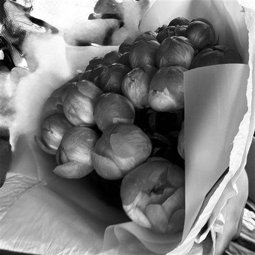 Serpo, Eddie G  Sasha First - Пионы (Alex Botcher Blend) 