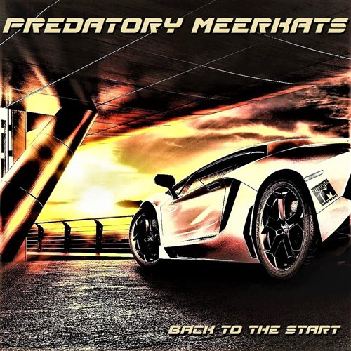 Predatory Meerkats - Rays of light [preview] Original Mix on iTunes Spotify Deezer Tidal GooglePlay Yandex VK 