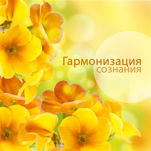 Умиротворение 