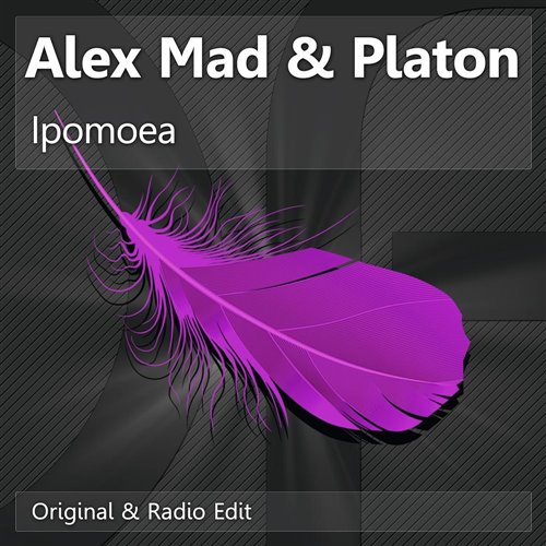 Alex Mad  Platon pres. Plamady - Calypso (Radio Edit) 
