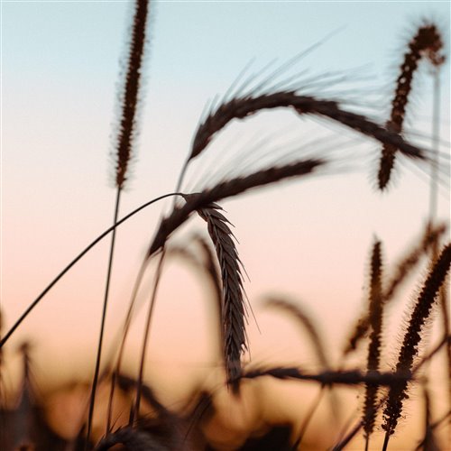 Ethan Eaims-Summer rain 