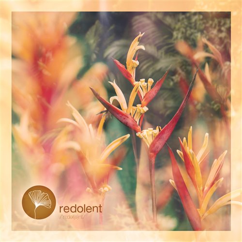 Tanit - Auwa Uwa (G.Zamora Remix)