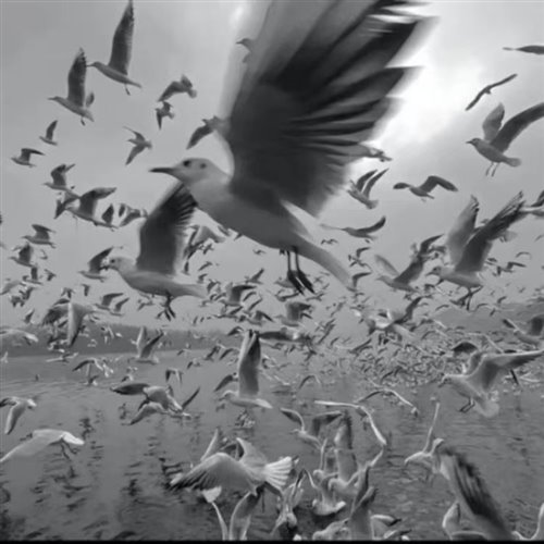 吕方 - 每段路 (DJ TerryMCOMix)