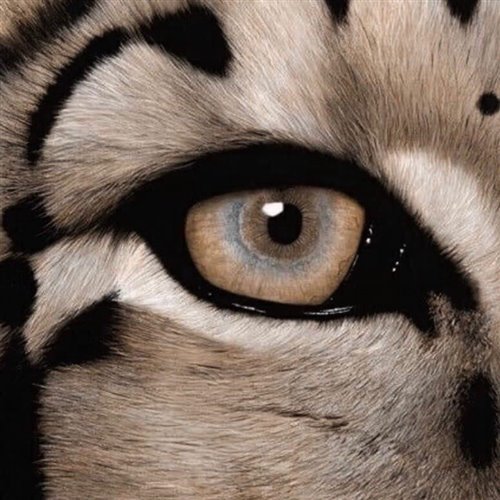 Ирина Кайратовна - Айдахар (DJ PACHA EXKLUSIVE EDIT) 