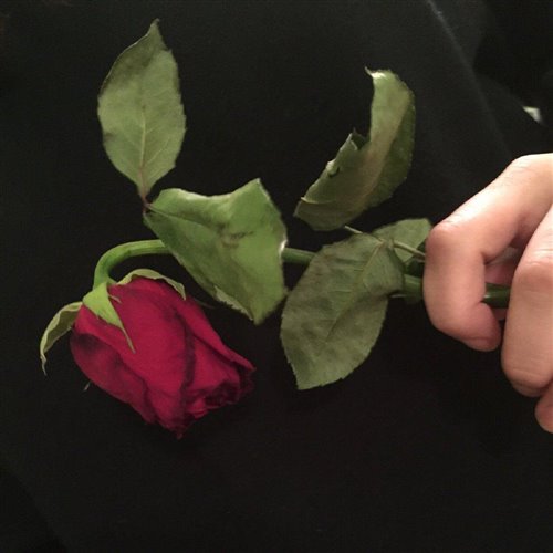 Элвин Грей - Роза (IGOR FISHERR Moombahton remix) 