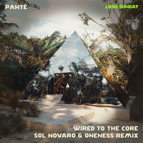 Panté - Wired To The Core (Sol Novaro  Oneness Remix)