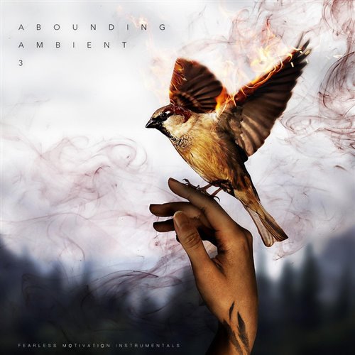 Nikola Echo pres. Jemeson - Sunset Surge 