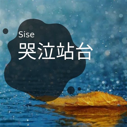 王小帅 - 哭泣站台 (DJSrue 2025 Remix)