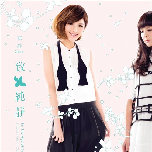 郭静 - 心墙 (FR3NZ Electro Remix 2025)