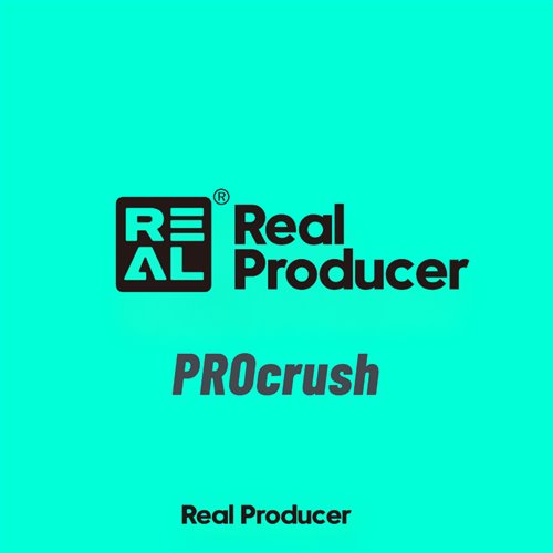 PROcrush-Call of silence(Remix)