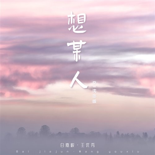 白嘉峻 x 王优秀 - 想某人 (DJ小罗 Electro Mix)