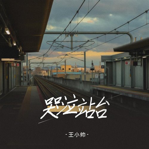 王小帅 - 哭泣站台 (DJLance Electro Mix)