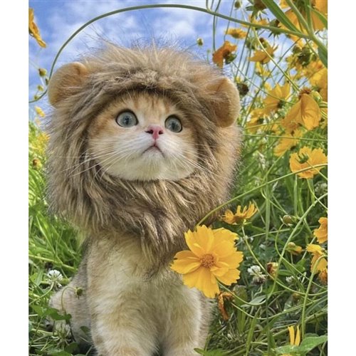 Ho Yeu Ai Mat Roi - QuangKoi Ft Shen