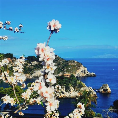 Lewis Capaldi - Someone You Loved (Justus Remix)