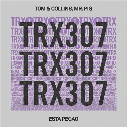 Tom  Collins, Minow  Mr. Pig - Pa Lante (feat Gabsy) (Extended Mix)