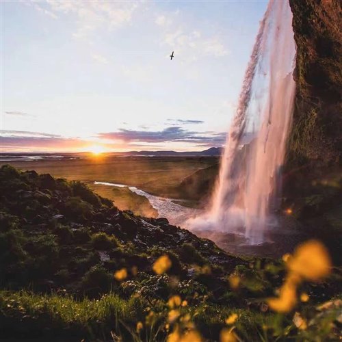 ai de bao feng yu (DJlao k)