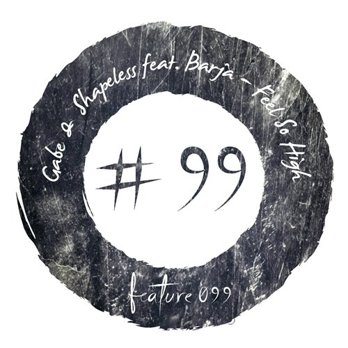 Gabe  Shapeless feat. Barja - Feel So High