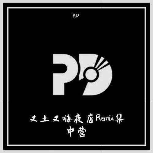 P.D 全日爱 (Hardbounce Remix)