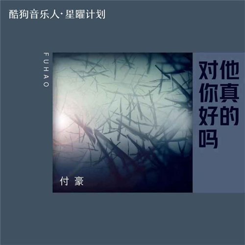 付豪 - 他真的对你好吗 (肇庆GonBe拾三 Electro 2025 Mix国语男)