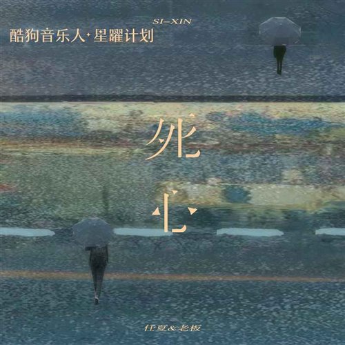 非洲波波 - 死心 (南昌DJ志军 Electro Remix 2025)