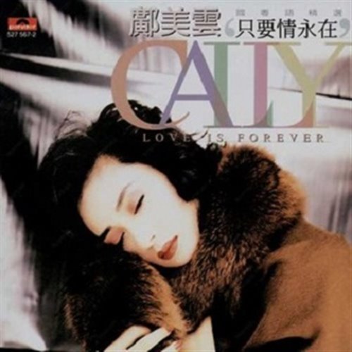 邝美云 - 相逢在半生 (DJ小九 Electro Rmx 2025 粤语)