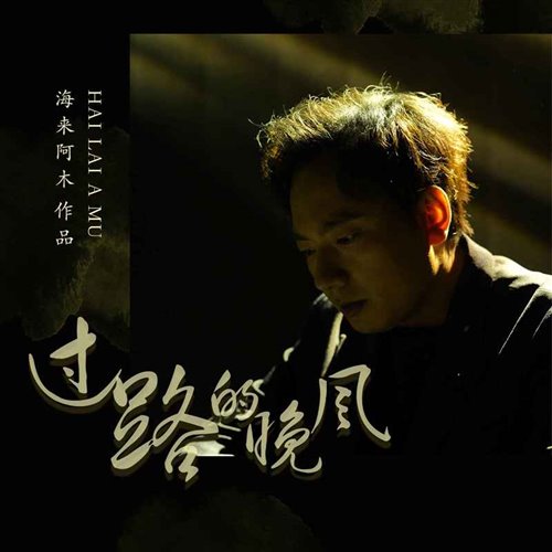 海来阿木 x 姚晓棠 - 过路的晚风 (DJ欧东 2025 Electro)