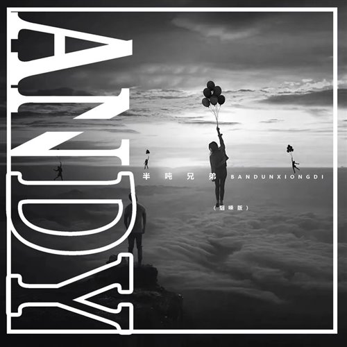 半吨兄弟 - Andy (DJ阿瑞 Electro Rmx 2025)