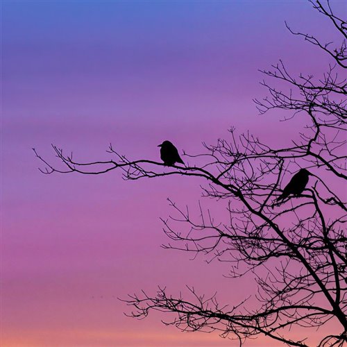 (越南) Rhymastic - Yeu 5 Remember (Gaztik Edit)