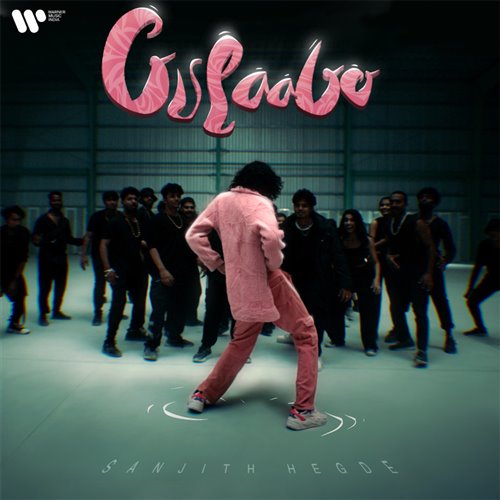 (印度) Alia Bhatt  Shahid Kapoor - Gulaabo (D-Rain X The Coders Mashup)