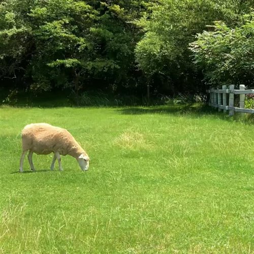 (缅甸) Da Tweekaz X BlasterJaxx - Wasabi Pitt (Paparazi Mashup)