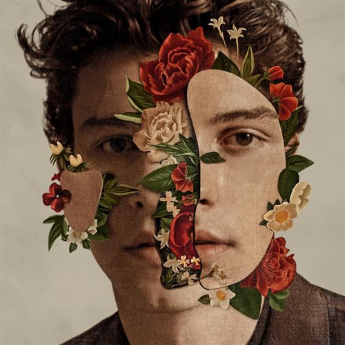 (越南) Shawn Mendes, Camila Cabello X Zedd, Meduza - Senorita Vs. Beautiful Now Vs. Tell Me Why (Kas Edit)