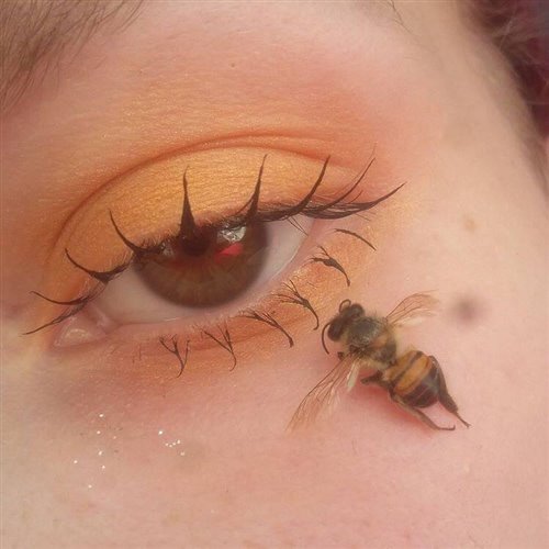 Britney Spears - Toxic [Protaxia Remix] [Enrie BeeHive Edit] 