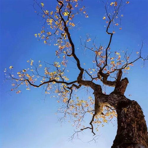 Cool For The Summer (Johnyrighthere  SWELL Remix)