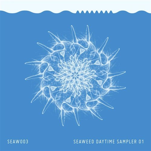 HYBIT, Gproject - Pura Vida (Original Mix) (1)