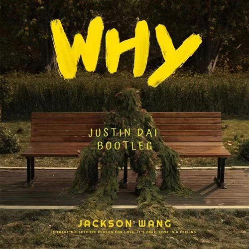 王嘉尔-why why why (MaxiMuM Bootleg)