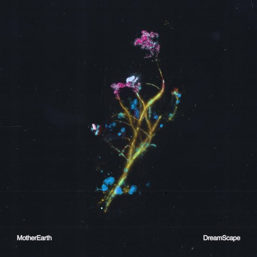 MotherEarth - Undercover (Extended Mix) 