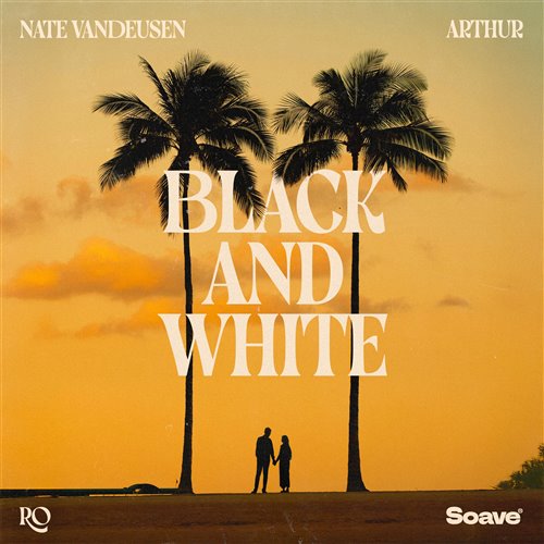 Nate VanDeusen  Arthur  Ro - Black And White (Original Mix) 