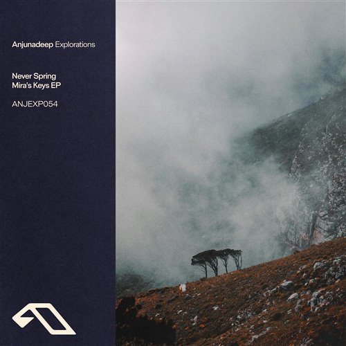 Never Spring - Chasing Colours (Extended Mix) 