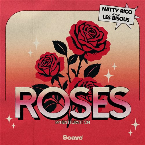 Natty Rico  Les Bisous - Roses (Original Mix) 
