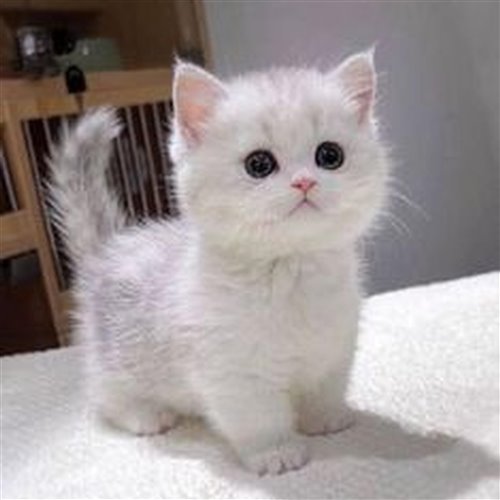 Sicko Mode (Tim Bootleg)