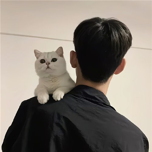 高启强语录＋无敌是多么寂寞 (JOJO小仙女MASHUP)