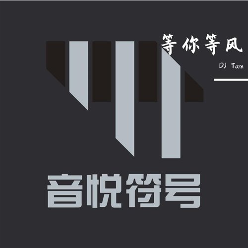许晰晰-等你等风(DJ Tarn  Hardstyle Remix)