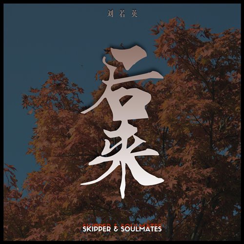 刘若英-后来 (Skipper & Soulmates remix)