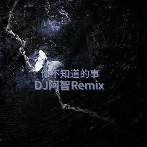 你不知道的事 (Benlam 2022 Remix)