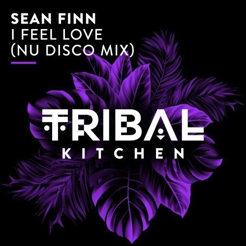 Sean Finn - I Feel Love (Nu Disco Extended Mix)