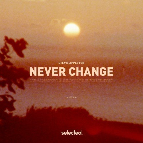 Stevie Appleton - Never Change (Extended Mix)