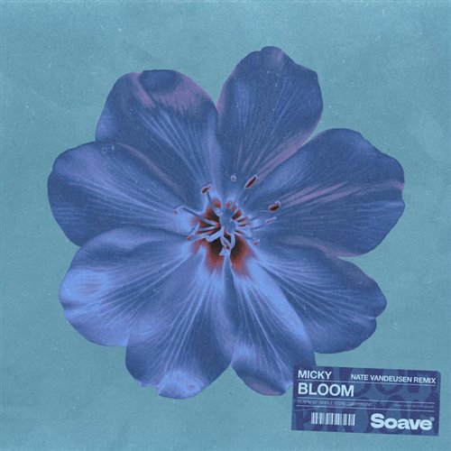 Micky & Nate VanDeusen - Bloom (Original Mix)